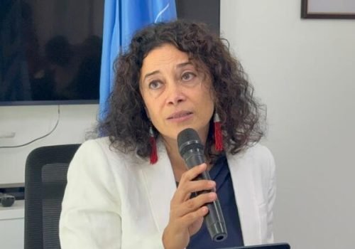 Ouri Pota
                          Relatora Elisa Morgera considera necessária uma avaliação independente dos impactos sobre os direitos humanos decorrentes das atividades de mineração de carvão ou da produção de combustíveis fósseis