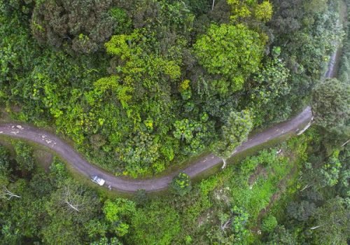 © IWRM AIO SIDS
                          O arquipélago é considerado um paraíso de biodiversidade