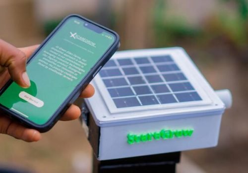 Green Eden Farms
                          Iniciativa quer ligar  a ação climática ou os sistemas agroalimentares ao financiamento e aos investimentos