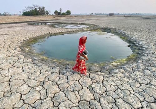 © Pnud/Ab Rashid
                          Uma mulher coleta água no distrito de Satkhira, no oeste do Bangladesh, afetado pela seca.