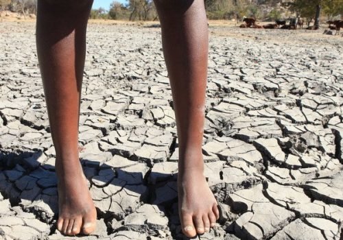 Unicef/Mukwazhi
                          WFP fornece transferências monetárias diretas, capacitação técnica, silos de armazenamento de grãos e sistemas de monitorização climática