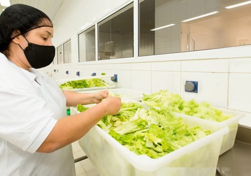 Estado de SP tem 1,8 mil vagas de emprego no setor de alimentação nesta semana; confira