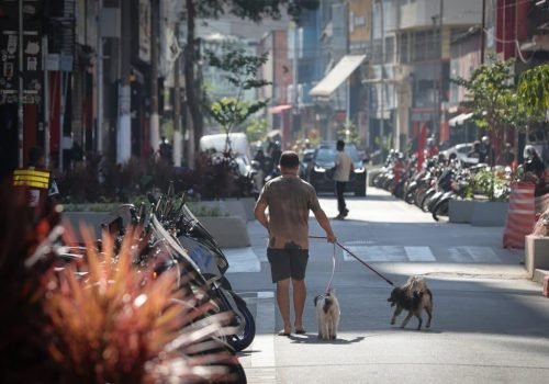 Na comparação com 2025, quando houve 2.663 casos, a redução foi de 18,5% na região. Foto: Divulgação/Governo de SP.